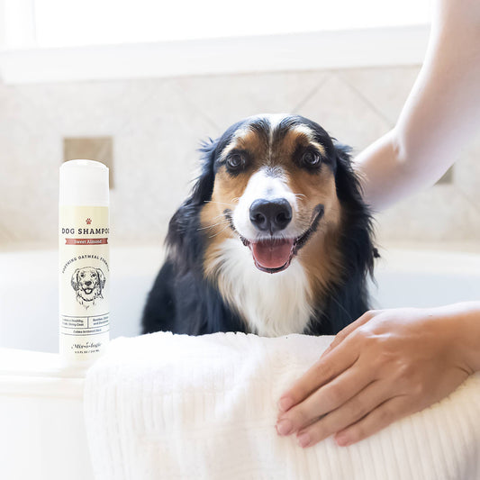 Mixologie Soothing Dog Shampoo - 2 scent options
