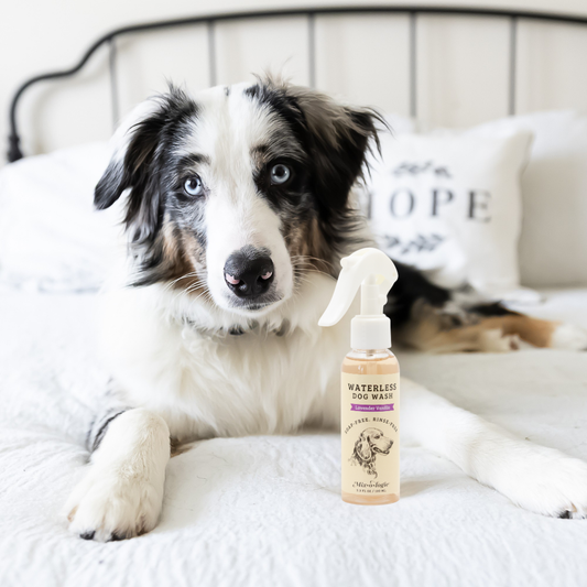 Waterless Dog Wash - 2 scent options
