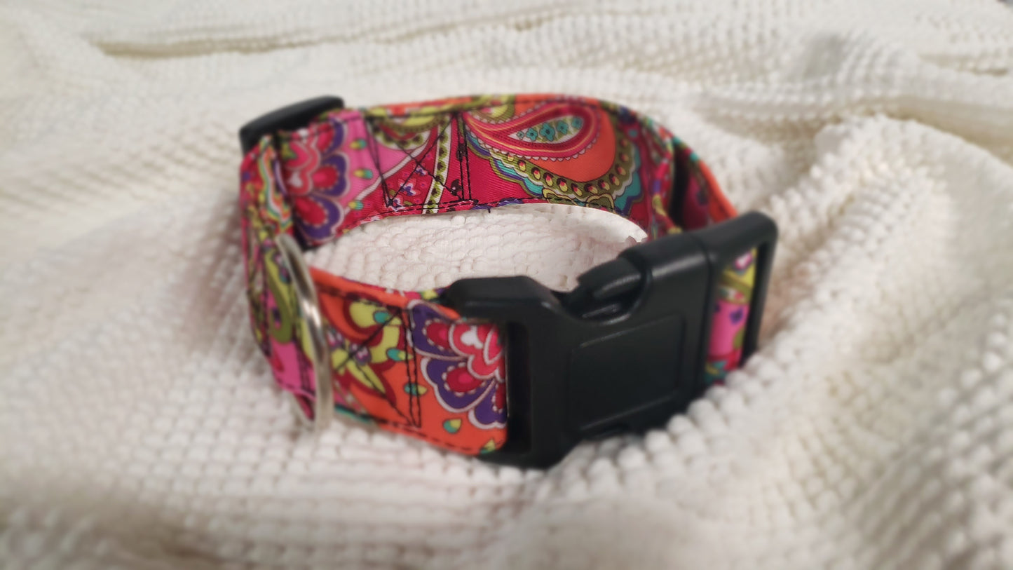 Colorful Extra Wide Fashion Dog Collars - Gals and Dogs Boutique Limited