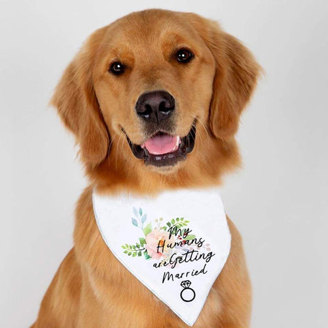 'My Humans are Getting Married' Dog Bandana